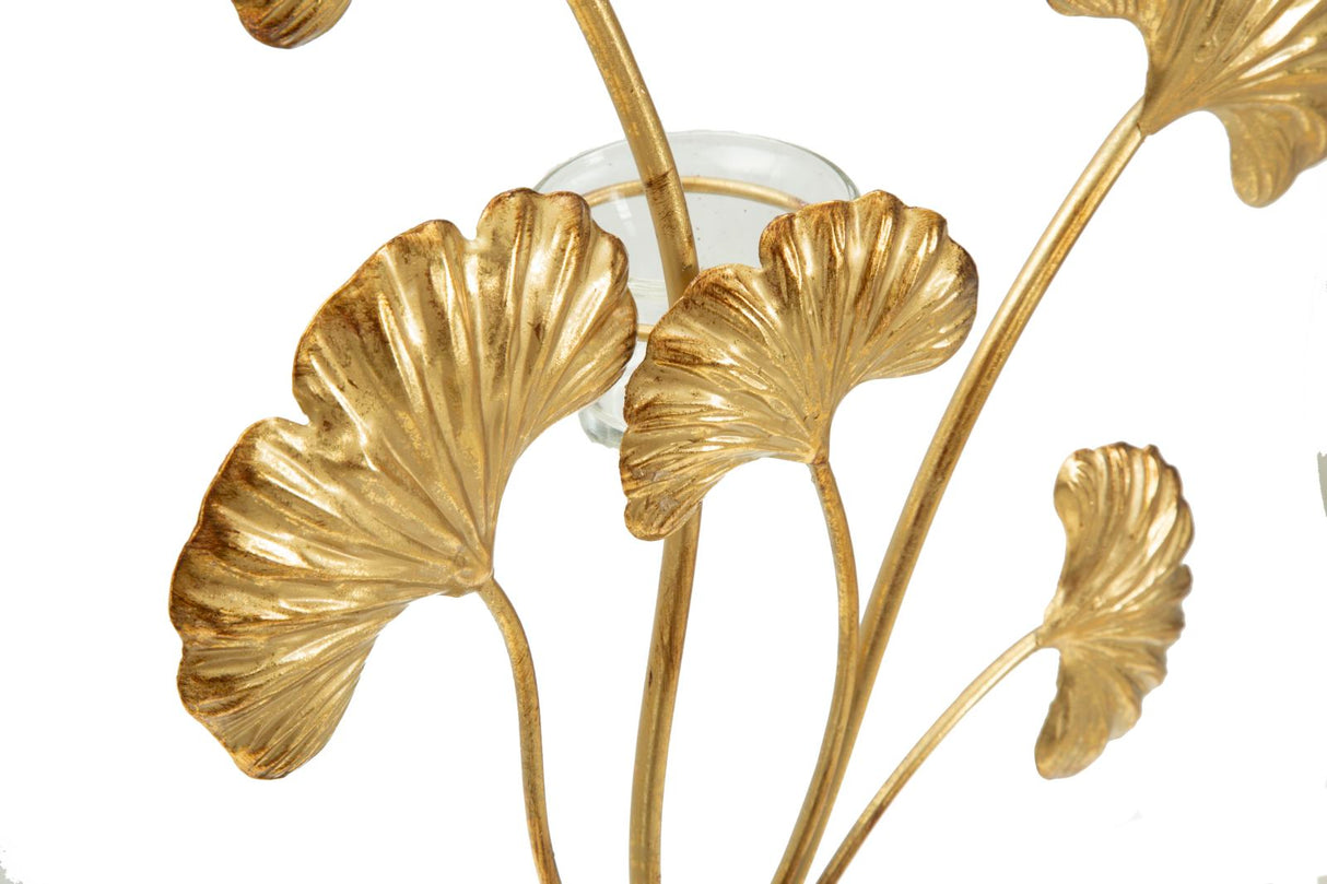 P/CAND GLAM IRIS - FERRETTI