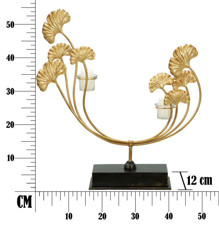 P/CAND GLAM IRIS - FERRETTI