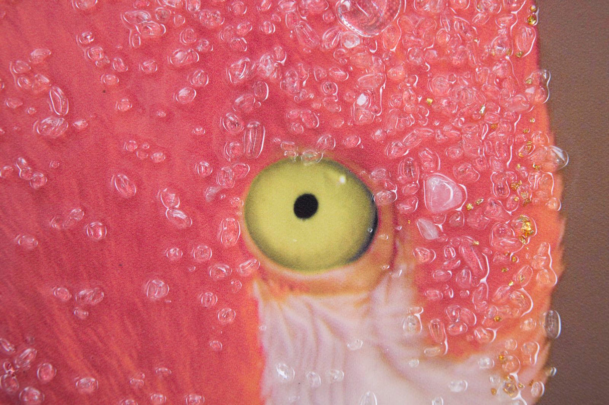 STAMPA SU TELA CON APPLICAZIONI -A- FLAMINGO - FERRETTI