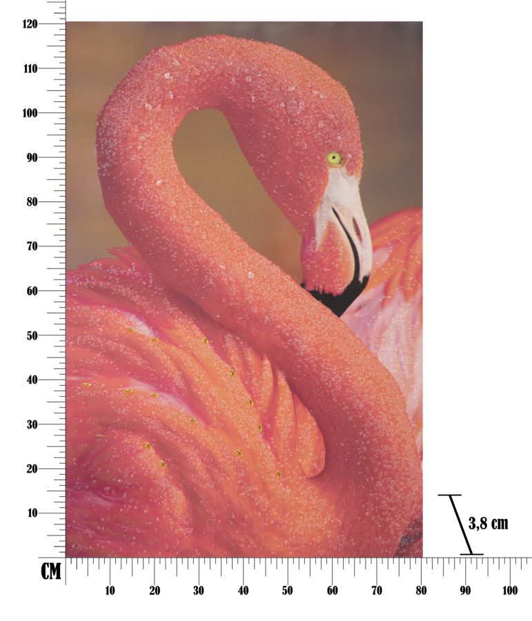 STAMPA SU TELA CON APPLICAZIONI -A- FLAMINGO - FERRETTI