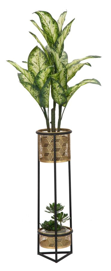 P/VASI DOPPIO - FERRETTI