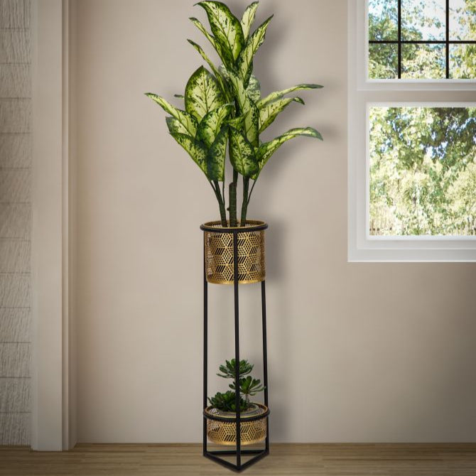 P/VASI DOPPIO - FERRETTI