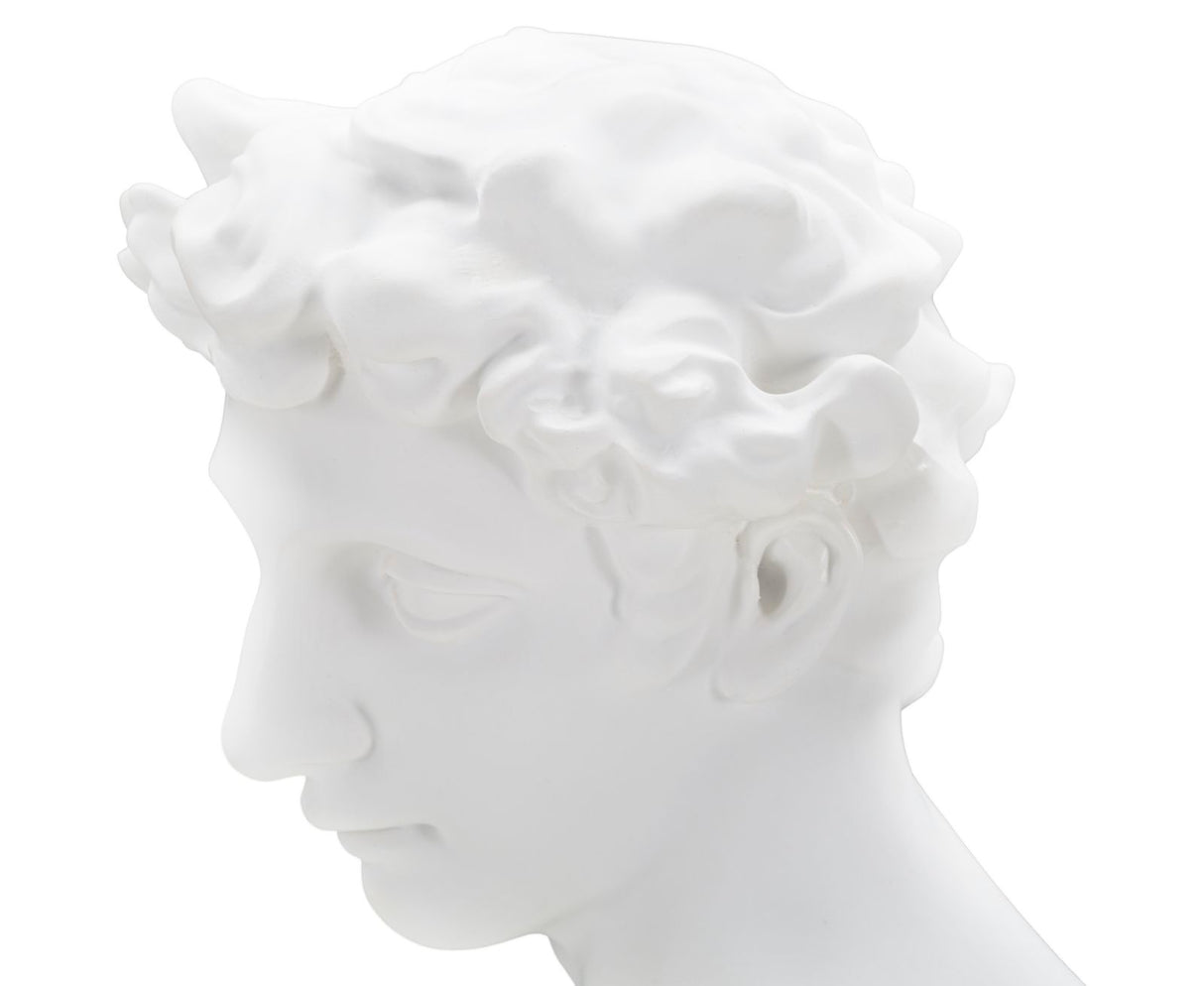 SCULTURA ROMAN YOUNG - FERRETTI