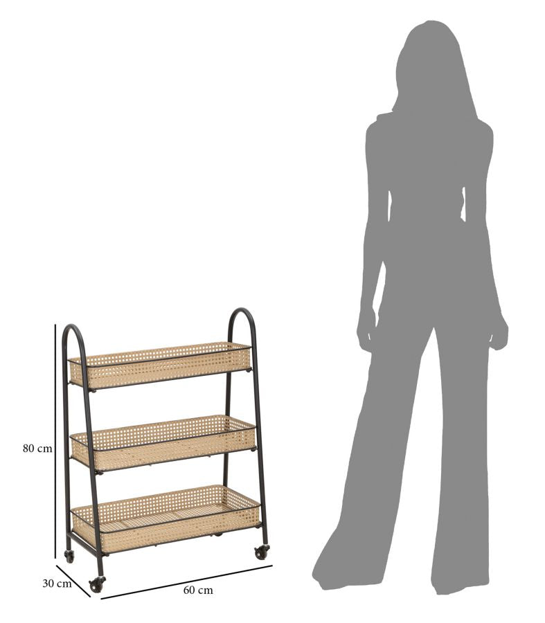 CARRELLO FUJI - FERRETTI