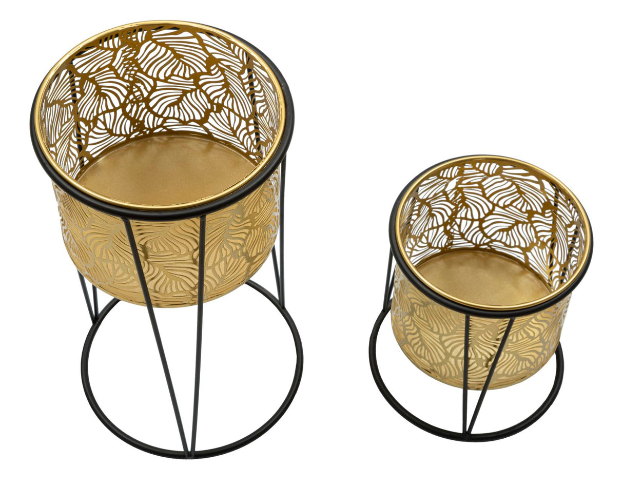 P/VASI LEAVY COPPIA -A- FERRETTI