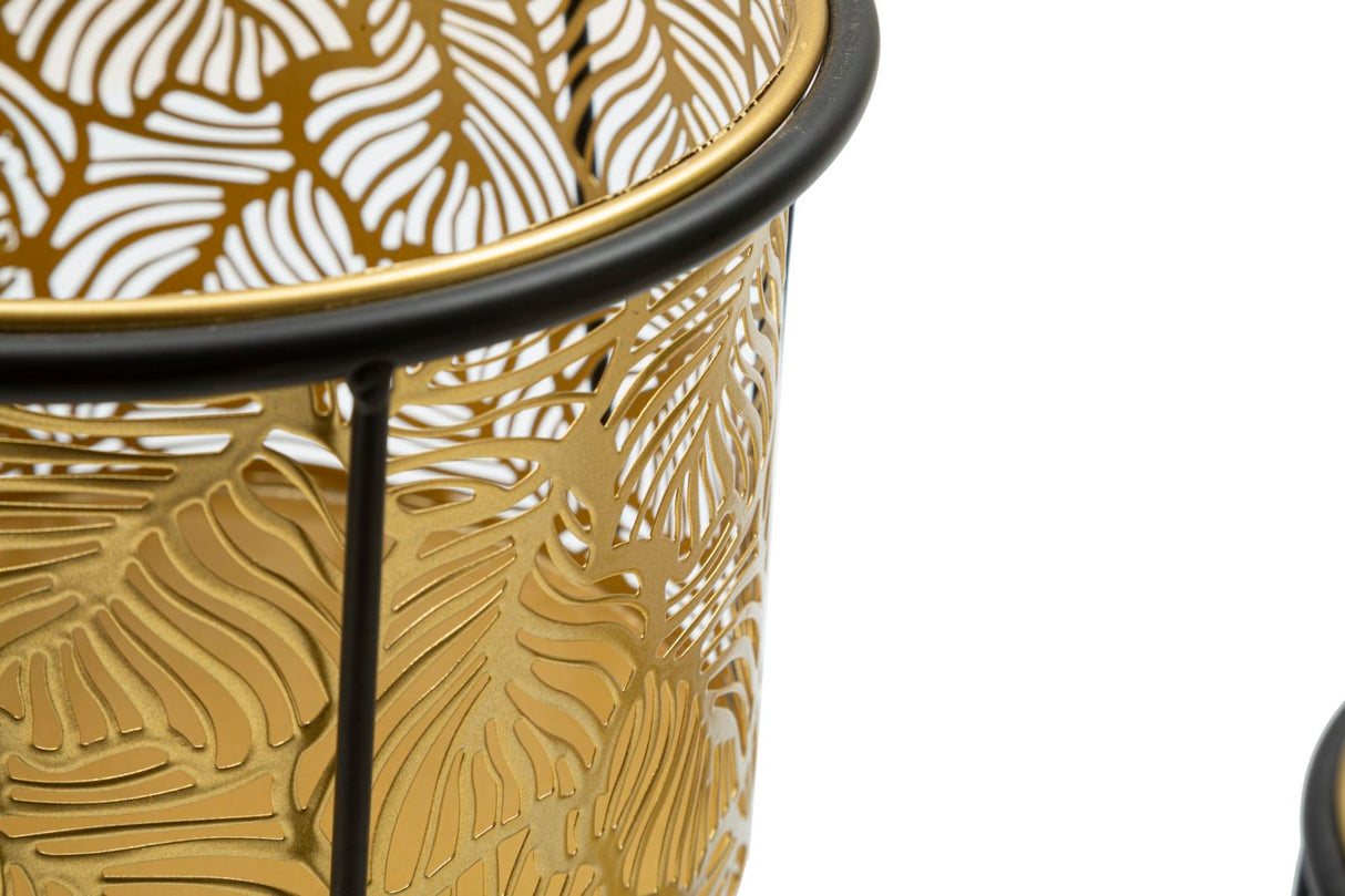 P/VASI LEAVY COPPIA -A- FERRETTI