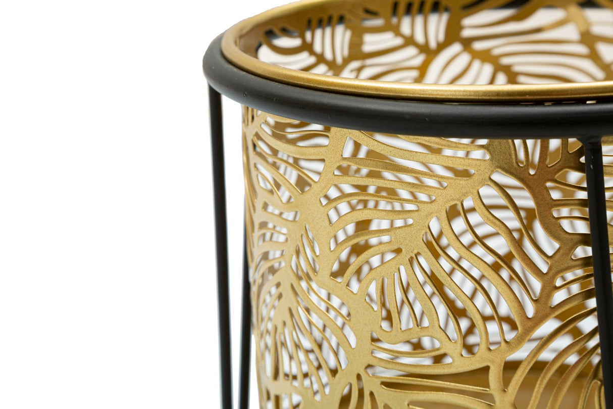 P/VASI LEAVY COPPIA -A- FERRETTI