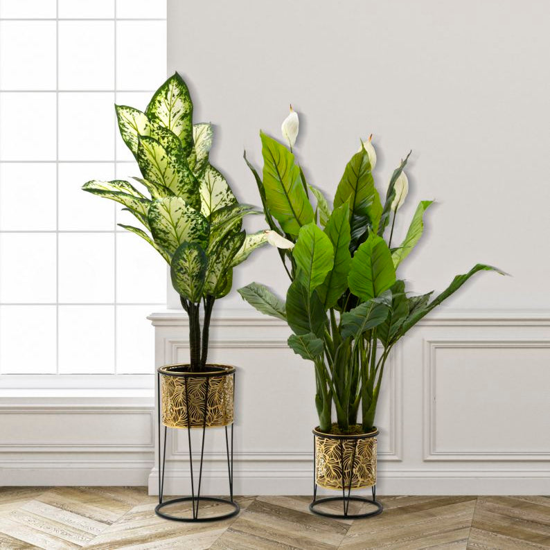 P/VASI LEAVY COPPIA -A- FERRETTI