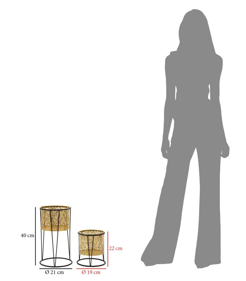 P/VASI LEAVY COPPIA -A- FERRETTI