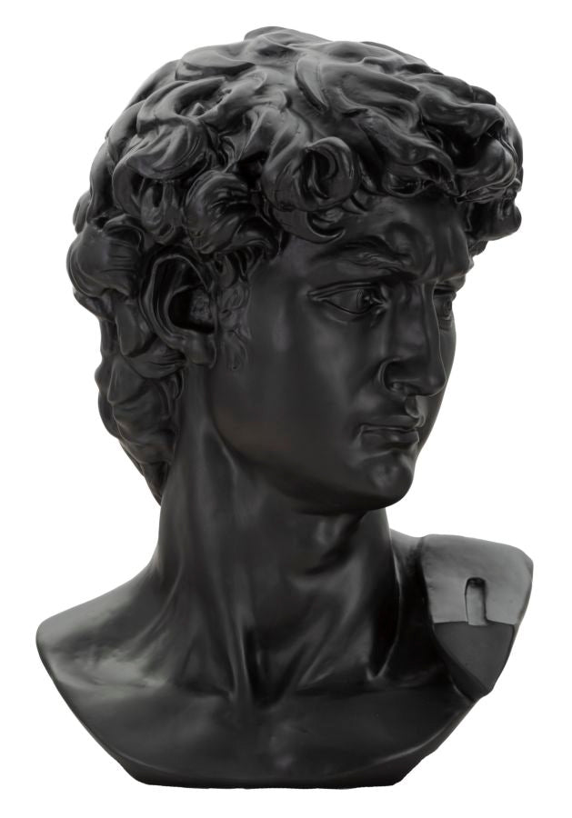 SCULTURA TESTA ANTICA NERA CM 44X35