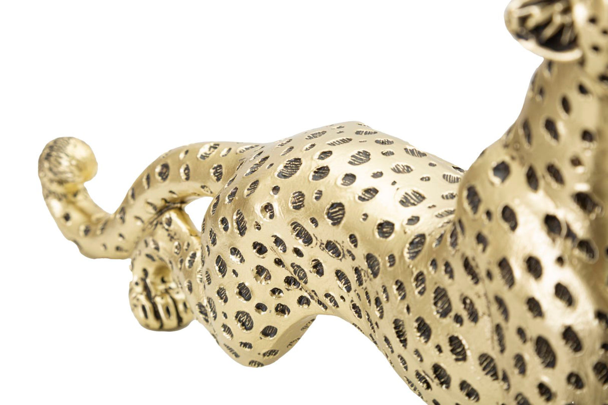 LEOPARDO POINTS SEDUTO - FERRETTI