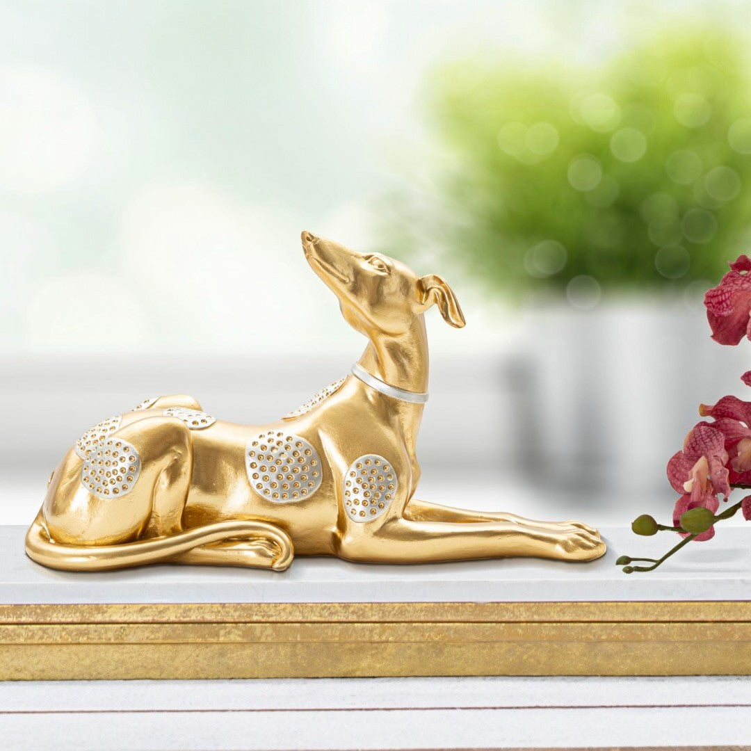 CANE SDRAIATO - FERRETTI