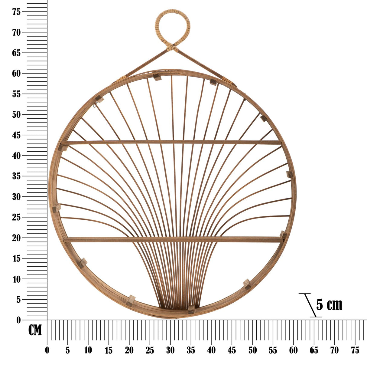 BACHECA FUJI - FERRETTI