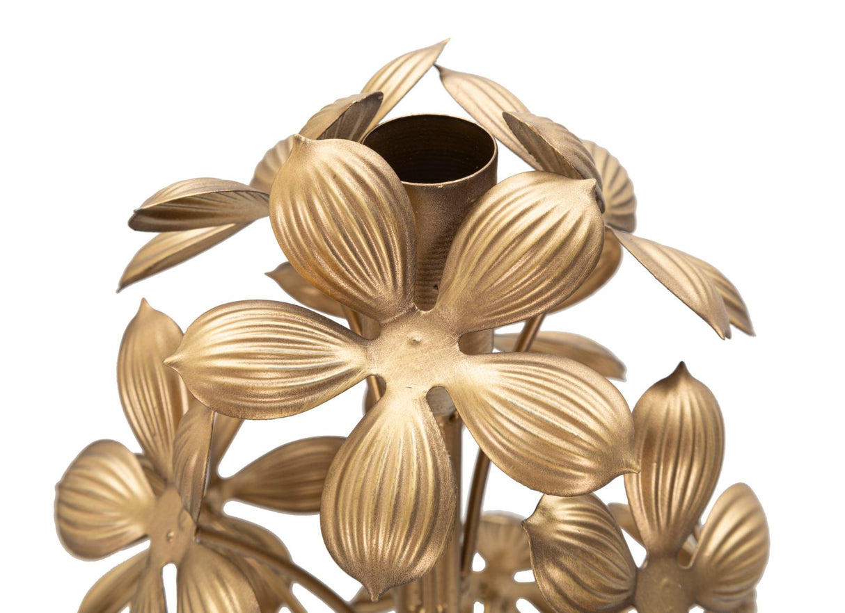 P/CAND FLOWY - FERRETTI