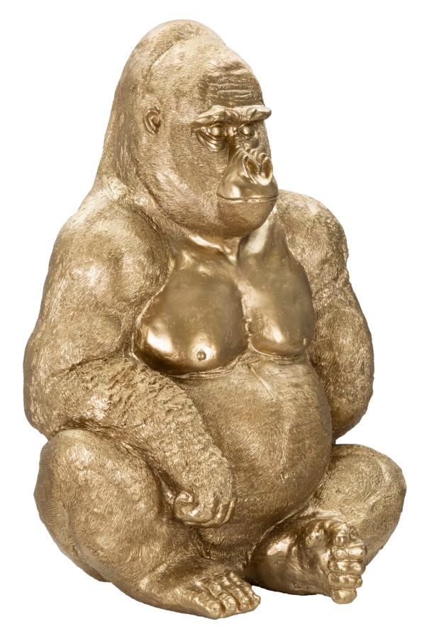 GORILLA GOLD - FERRETTI