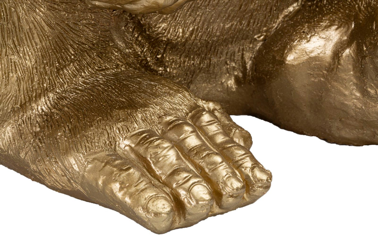 GORILLA GOLD - FERRETTI