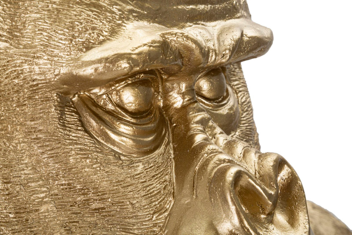 GORILLA GOLD - FERRETTI