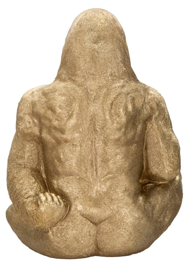 GORILLA GOLD - FERRETTI