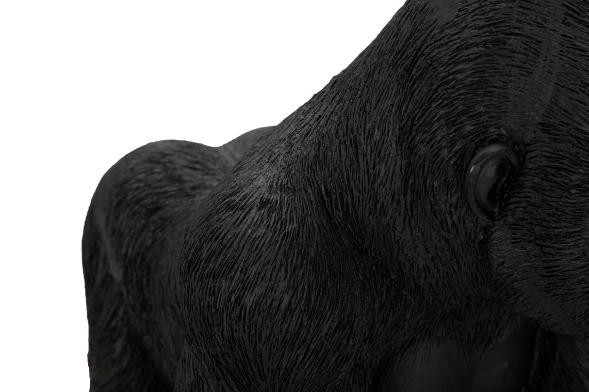 GORILLA BLACK - FERRETTI