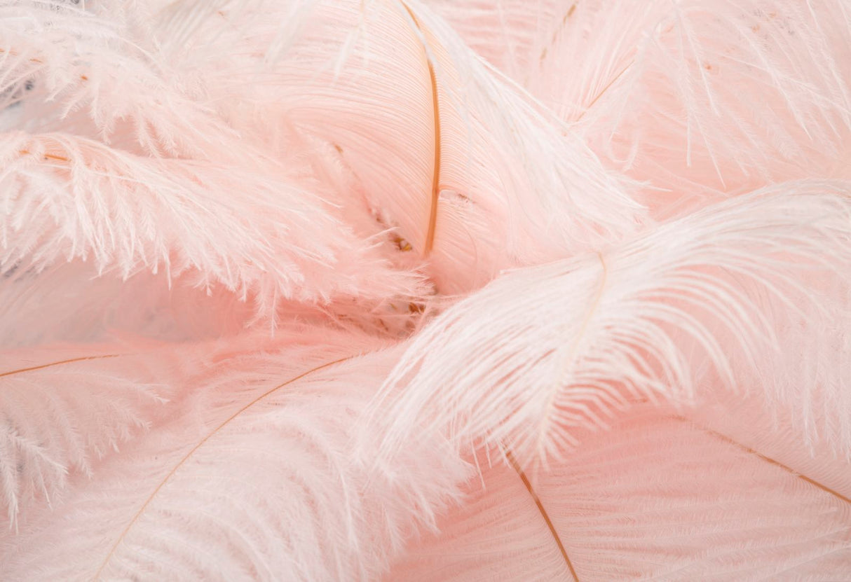 LAMPADA DA TAVOLO PALM ROSA - FERRETTI