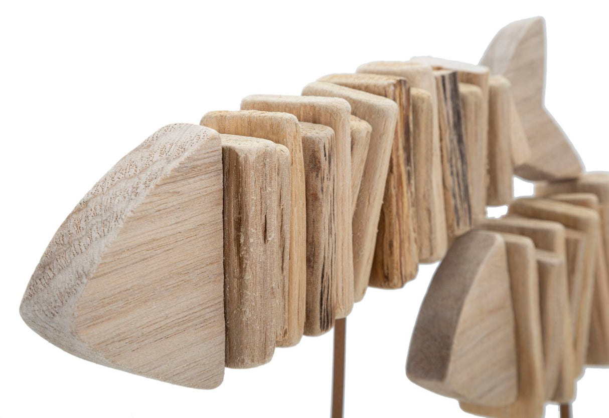 PESCI NATURE - FERRETTI