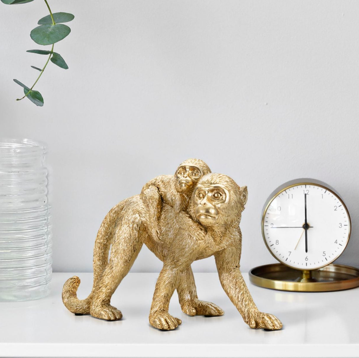 SCIMMIA MOM - FERRETTI