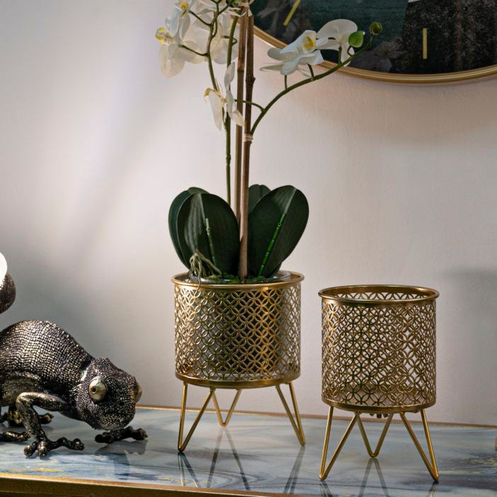 P/VASI CECI COPPIA - FERRETTI