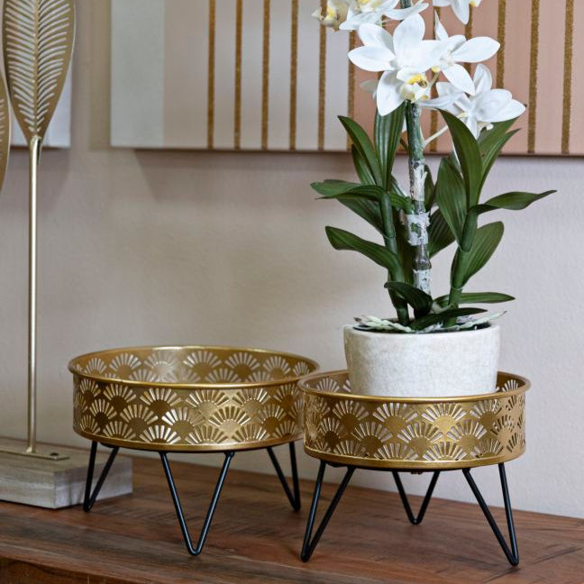 P/VASI ZANNY COPPIA - FERRETTI