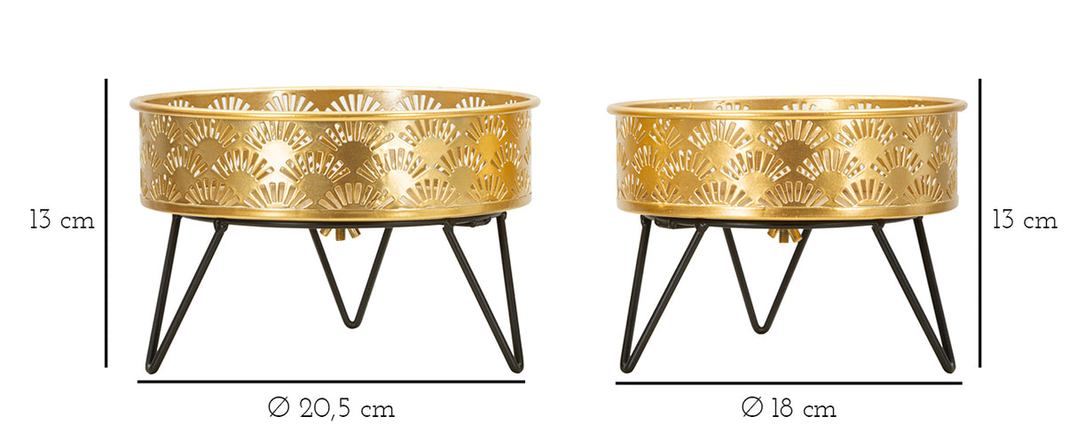 P/VASI ZANNY COPPIA - FERRETTI