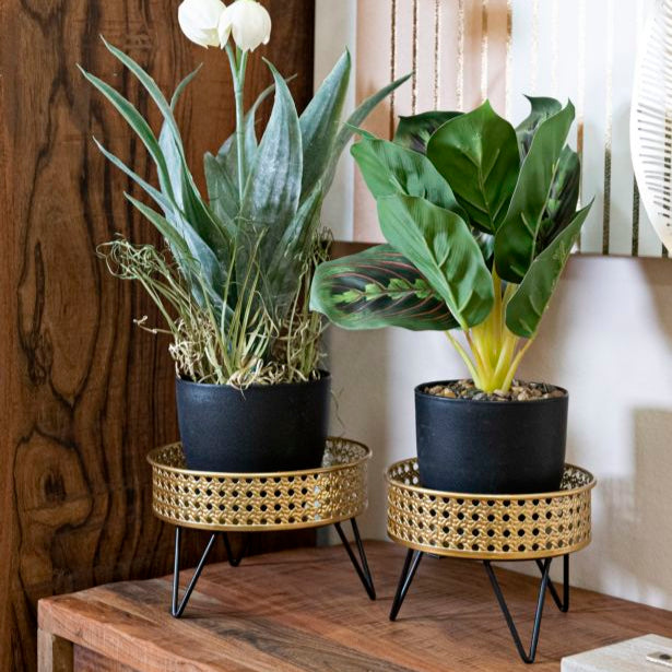 P/VASI BOSSY COPPIA - FERRETTI