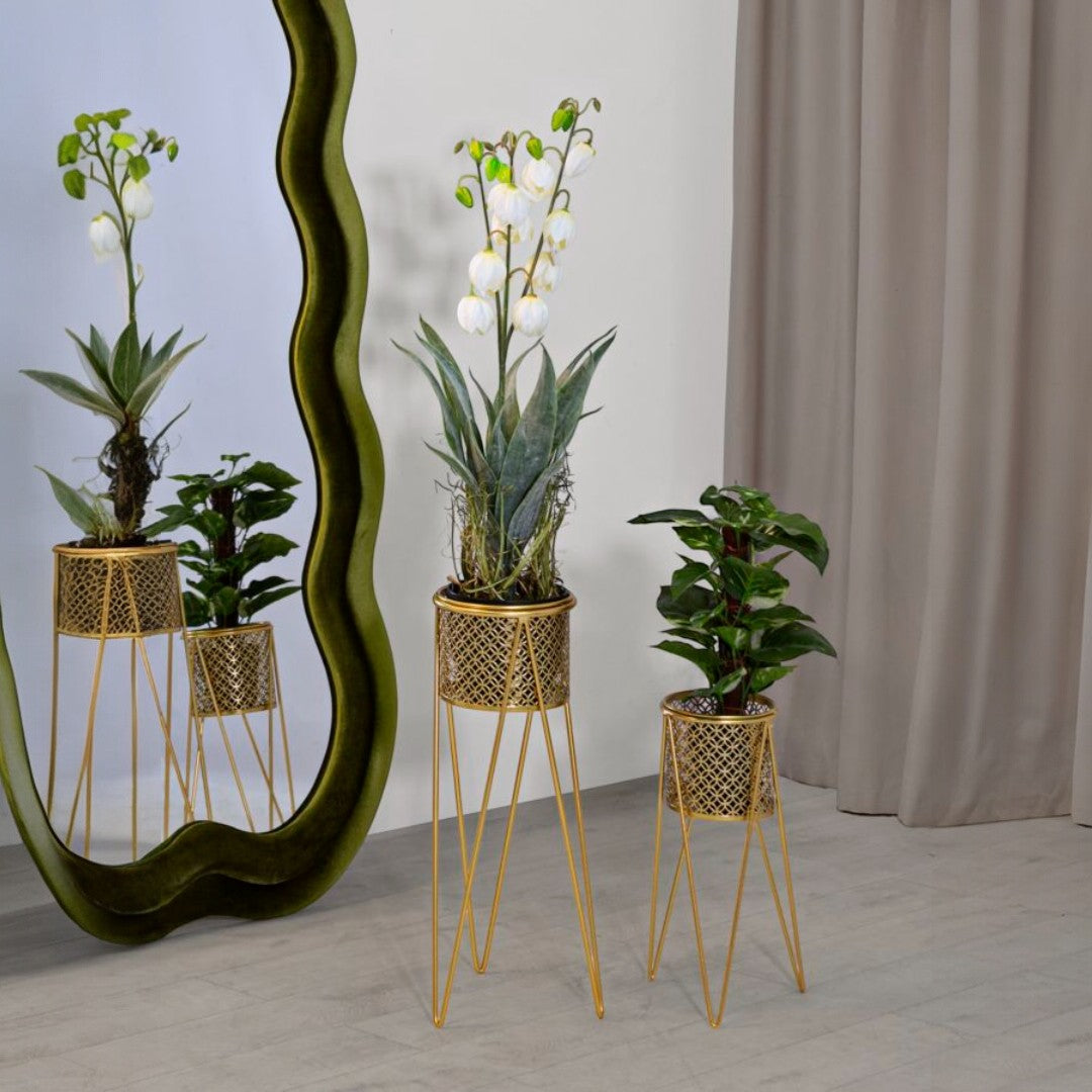 P/VASI NAT COPPIA - FERRETTI