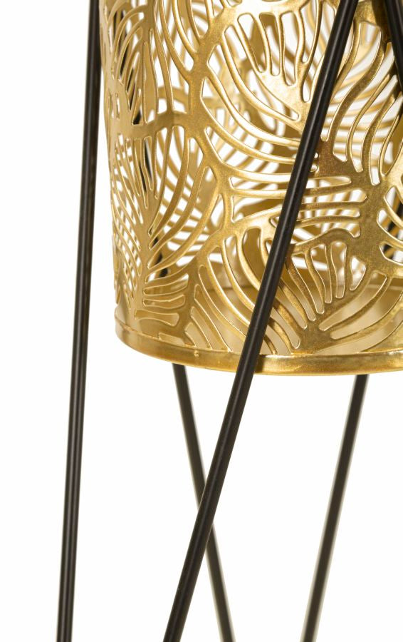 P/VASI DRAK COPPIA - FERRETTI