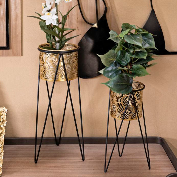 P/VASI DRAK COPPIA - FERRETTI