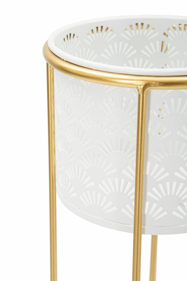 P/VASI WHITY COPPIA - FERRETTI