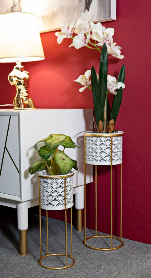 P/VASI WHITY COPPIA - FERRETTI