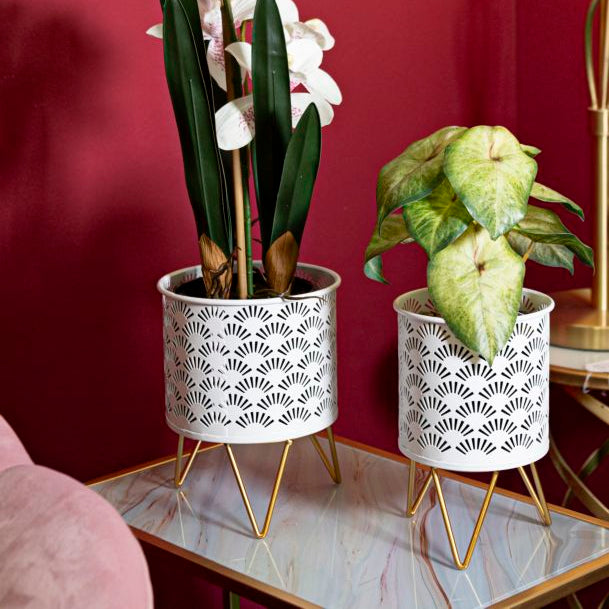 P/VASI CARLY COPPIA - FERRETTI