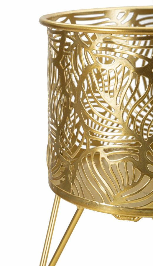 P/VASI NATY COPPIA - FERRETTI