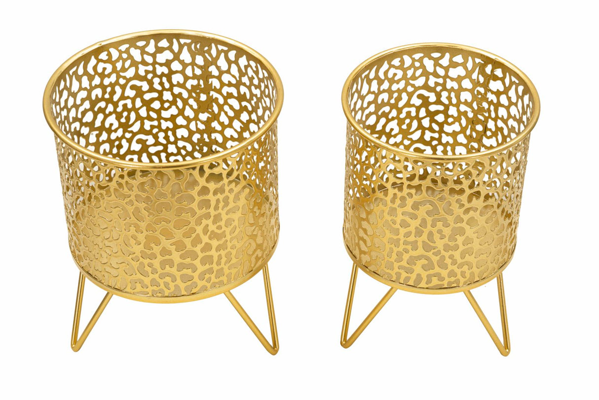 P/VASI PINY COPPIA - FERRETTI