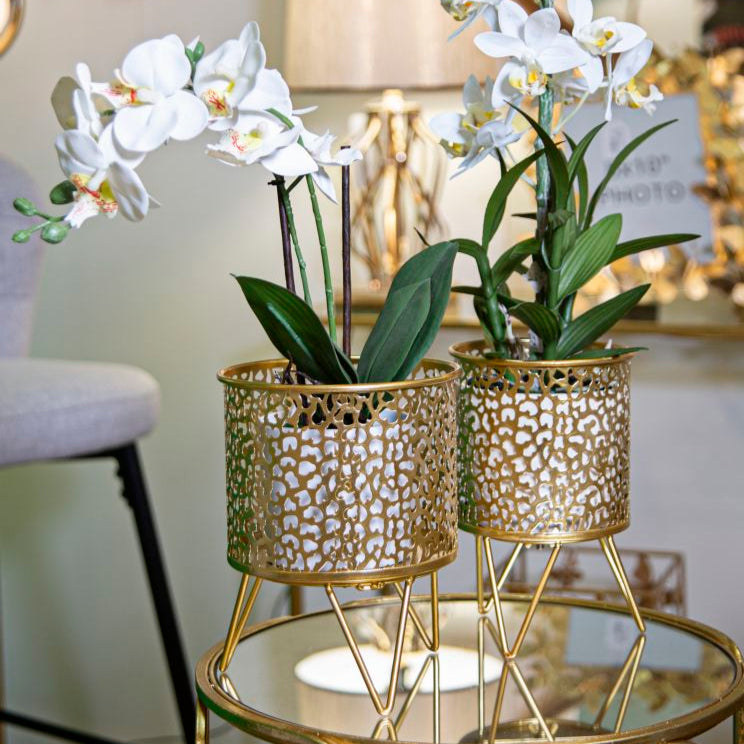 P/VASI PINY COPPIA - FERRETTI