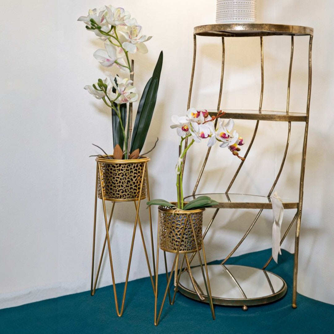 P/VASI GLOD COPPIA - FERRETTI