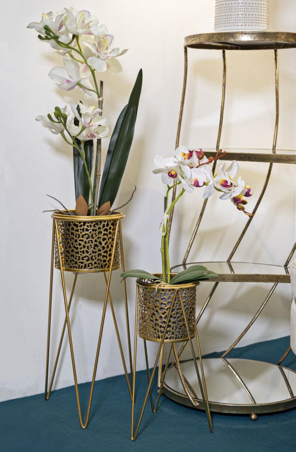 P/VASI GLOD COPPIA - FERRETTI