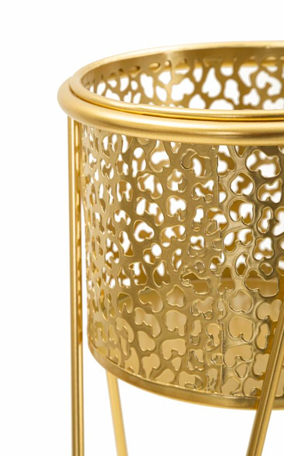 P/VASI GLOD COPPIA - FERRETTI