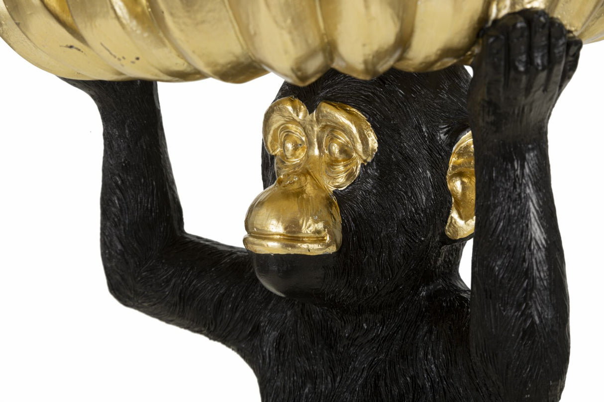 SCIMMIA S/TASCHE BANANE - FERRETTI