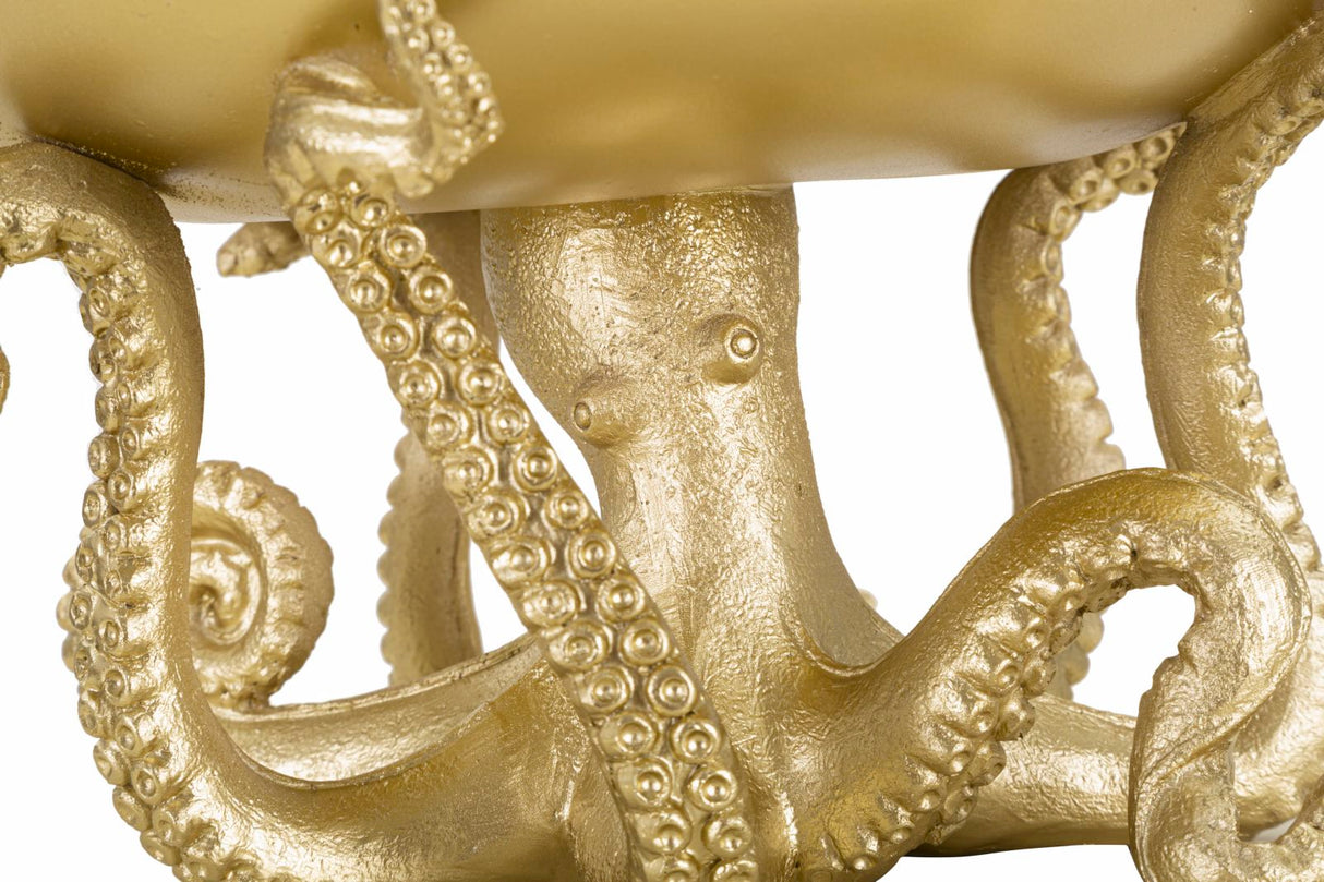 OCTUPUS S/TASCHE - FERRETTI