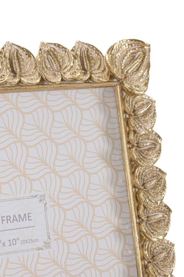 CORNICE ANTHURIUM - FERRETTI