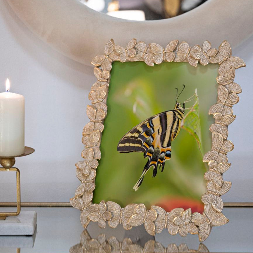 CORNICE FARFALLE GLOD - FERRETTI