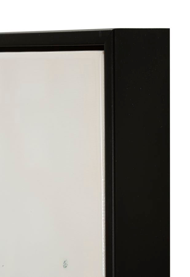 DIPINTO SU TELA LACCATO ALTEA -B- C/CORNICE X - FERRETTI