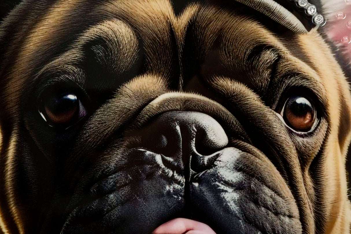 DIPINTO SU TELA LACCATO BULLY C/CORNICE - FERRETTI