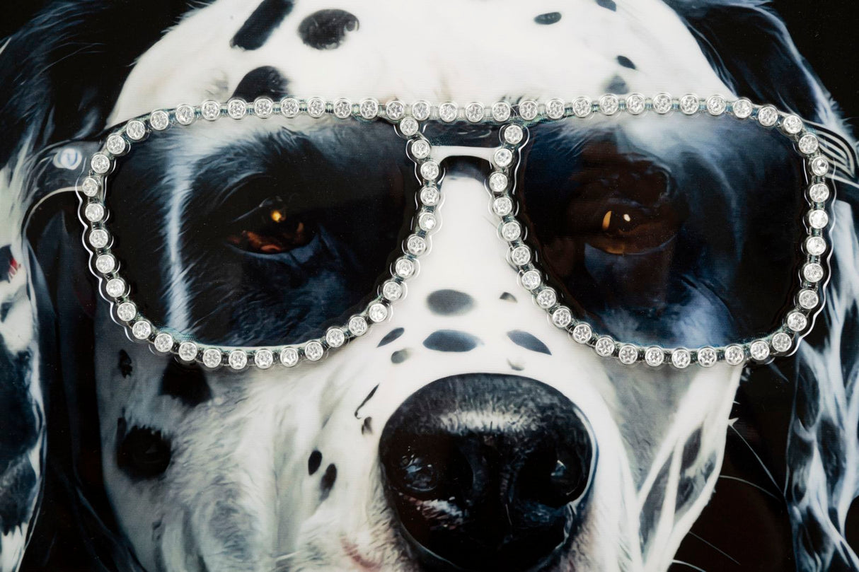 DIPINTO SU TELA LACCATO TRAP C/CORNICE - FERRETTI