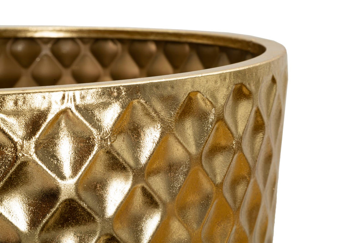 P/VASI GLOTTY TRIS - FERRETTI